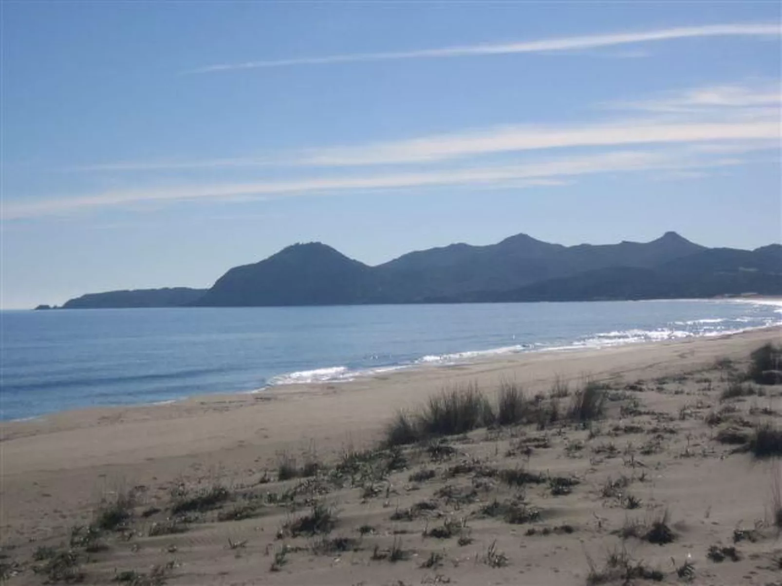 Natur, ökologische Nachhaltigkeit, nur für Erwachsene, Meer in der Nähe