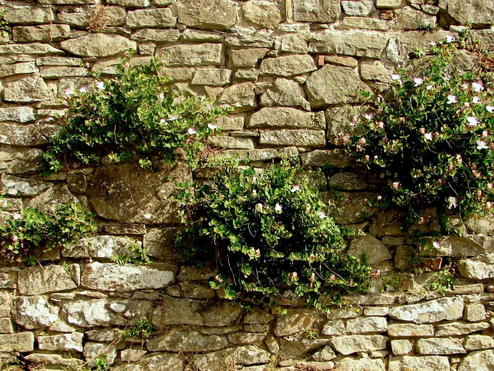 'La Torre' mit Terrasse-Buiten