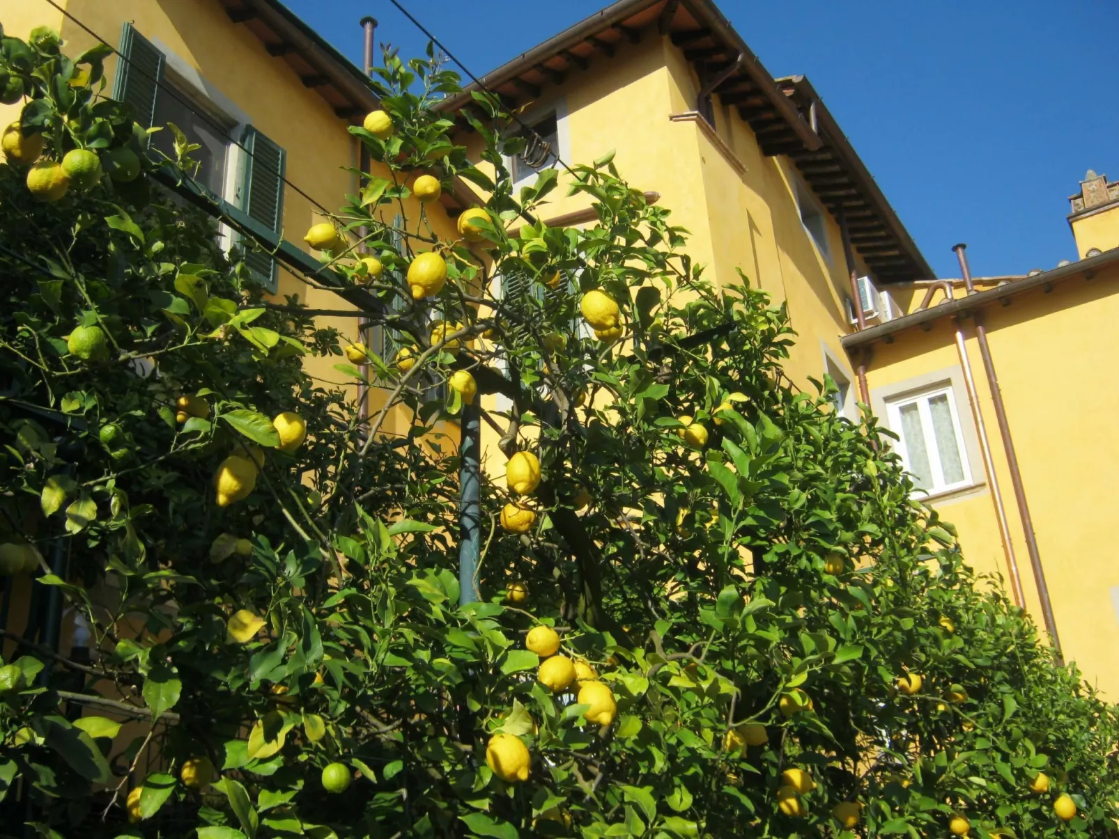 Wohnung "Il Cedro" Penthouse mit Aussicht-Buiten