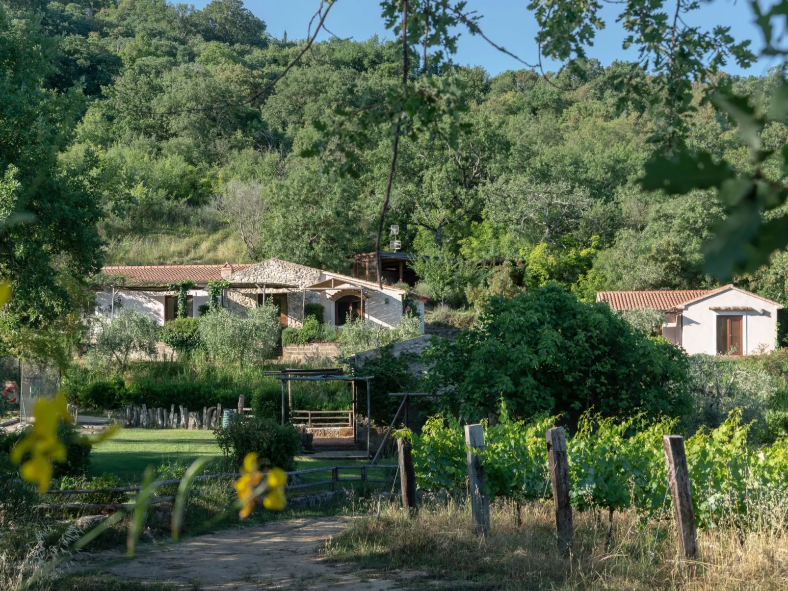 Il Borghetto, bis zu 19 Betten-Image-tags.info