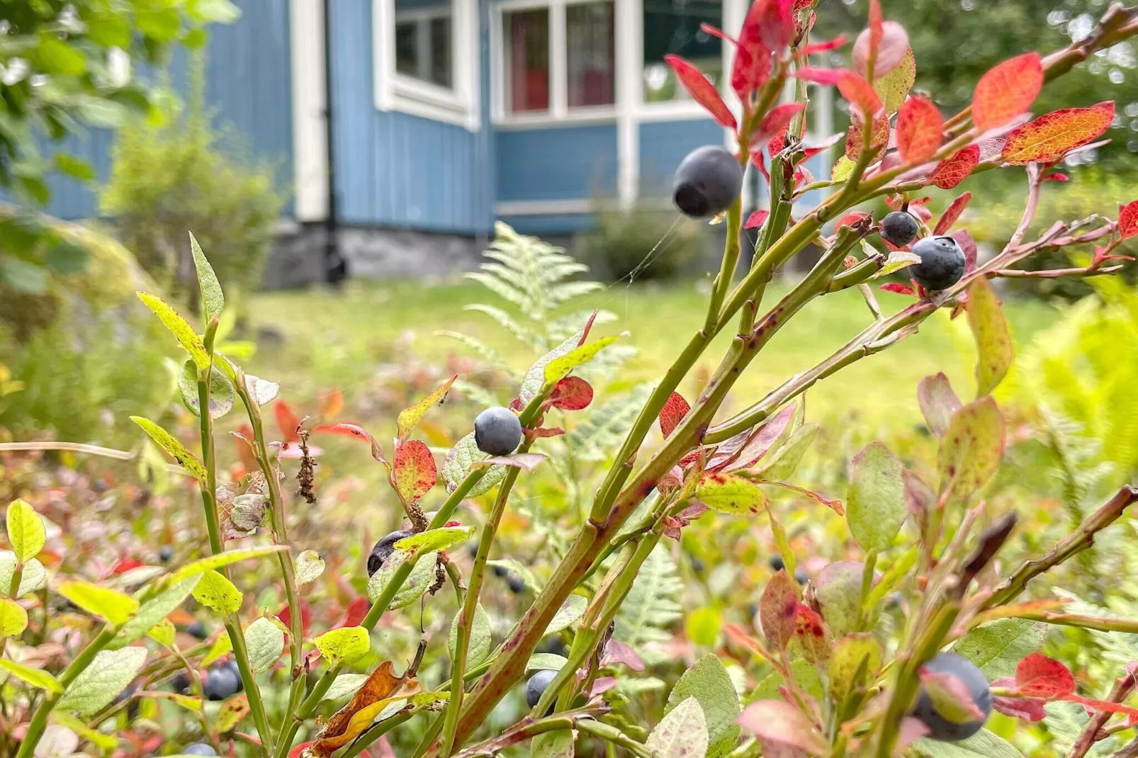 4 sterren vakantie huis in KARLSHAMN-By Traum-Buitenlucht