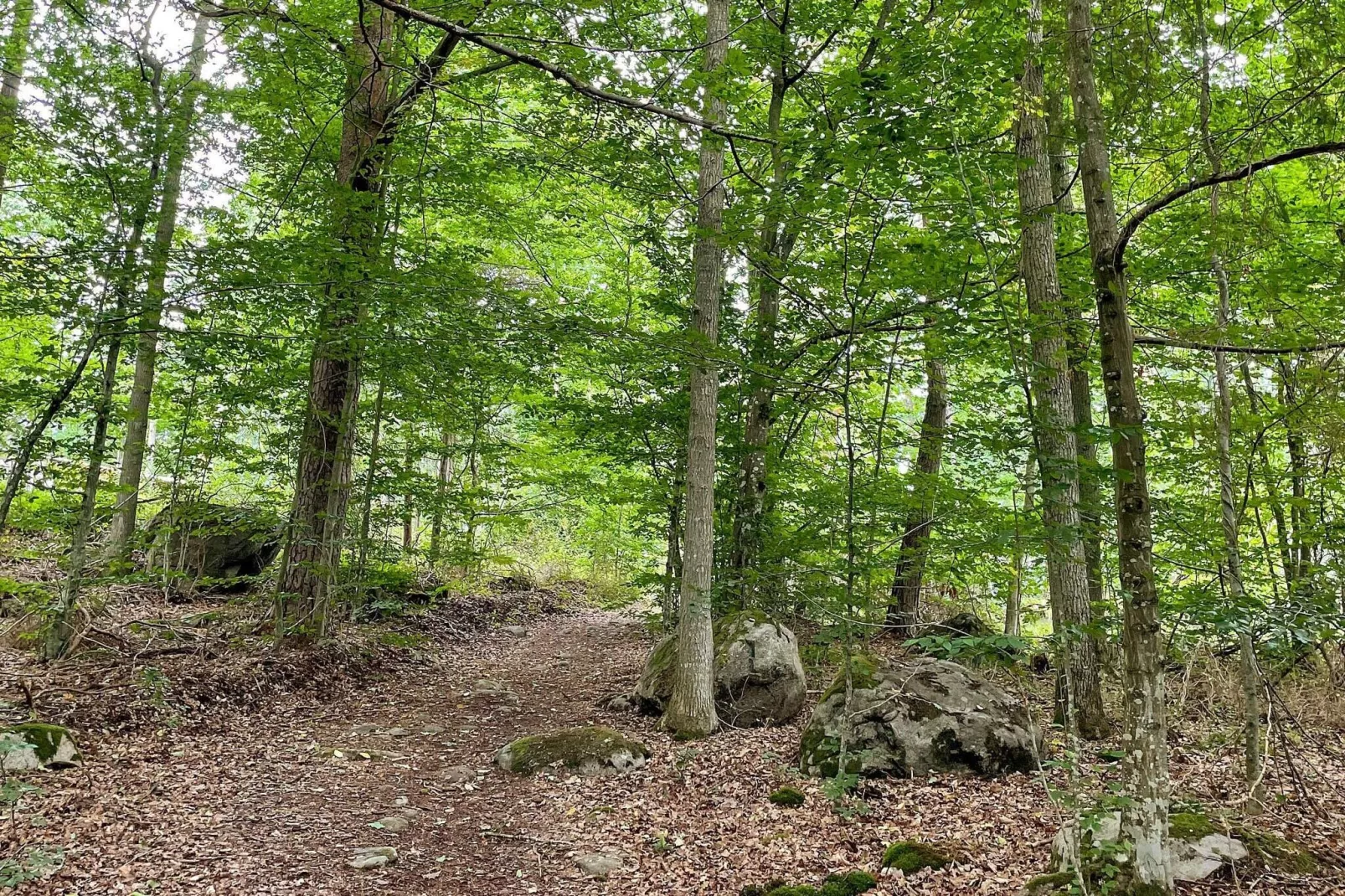 4 sterren vakantie huis in KARLSHAMN-Buitenlucht