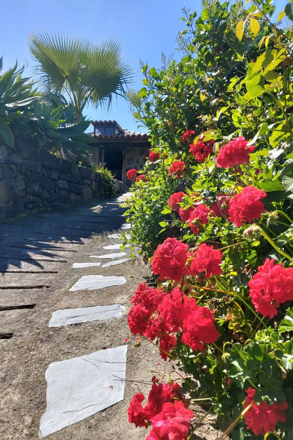 FW Cueva del Viento - Buiten