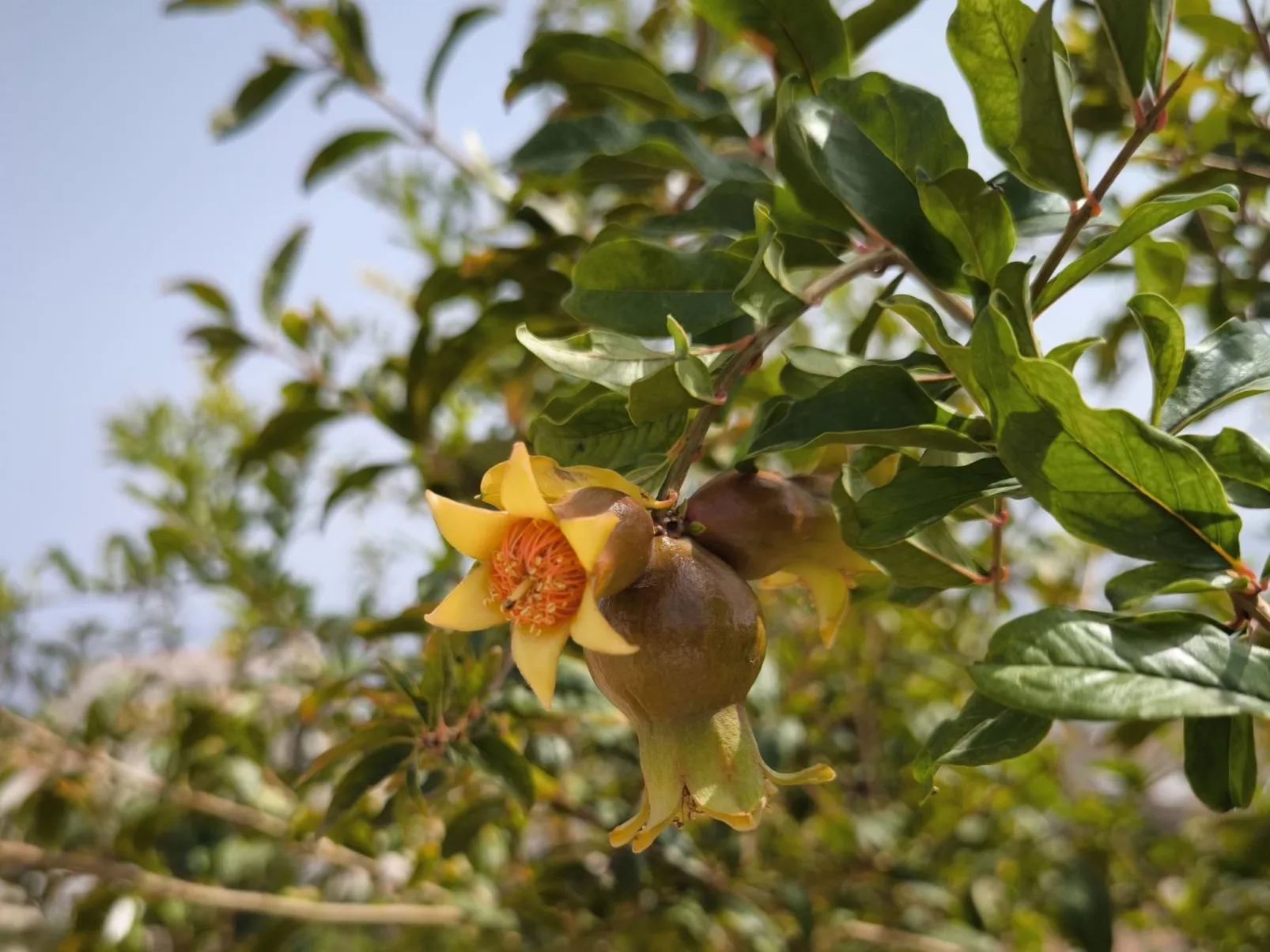 Villa Sur-Image-tags.info