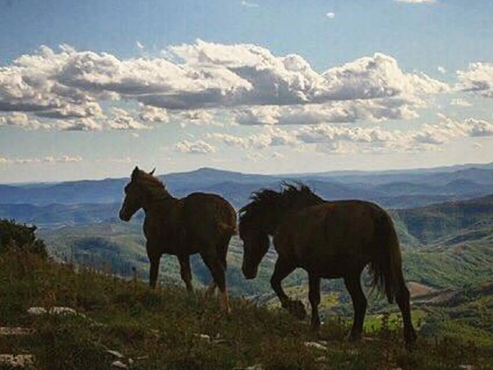 Privates Poolhaus im grünen Herzen von Umbrien-Buiten