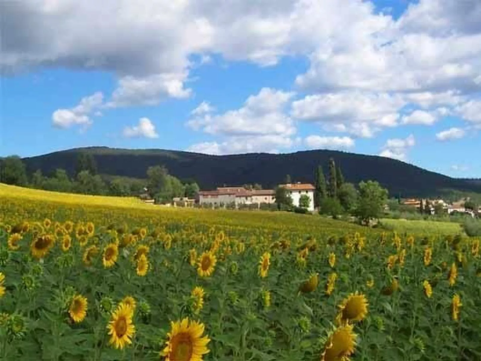 Großes Appartement-Buiten