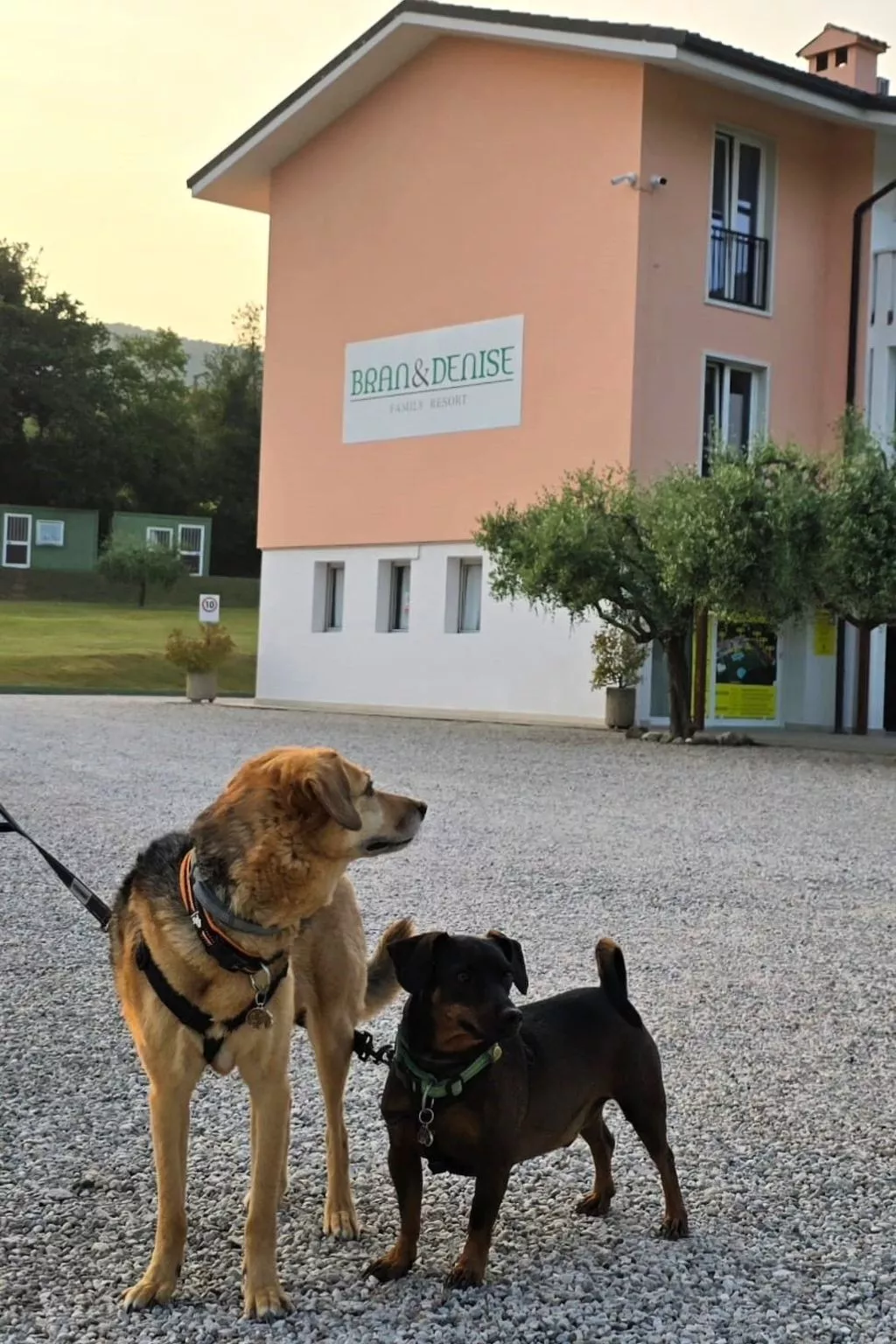 Wohnung in Costermano mit privatem Parkplatz-Buiten