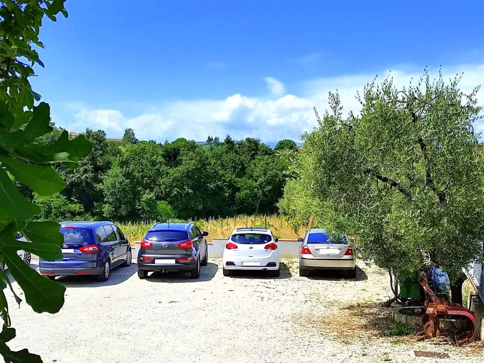 Charmante Wohnung mit privatem Garten