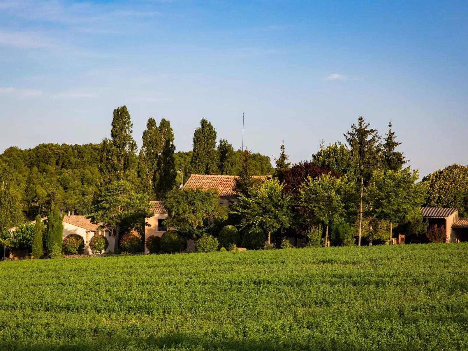 Wohnung "El Corral" mit Terrasse-Buiten