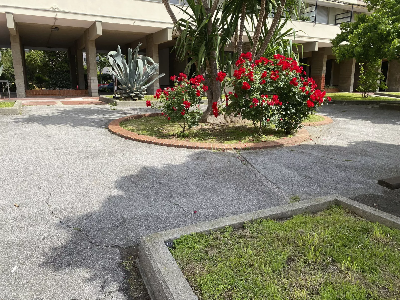 Wohnung CapoMare 100 Meter vom Meer entfernt-Buiten