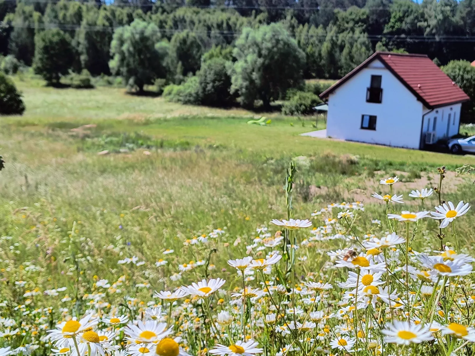 Vogelecke - abseits des Trubels und der Hektik-Buiten