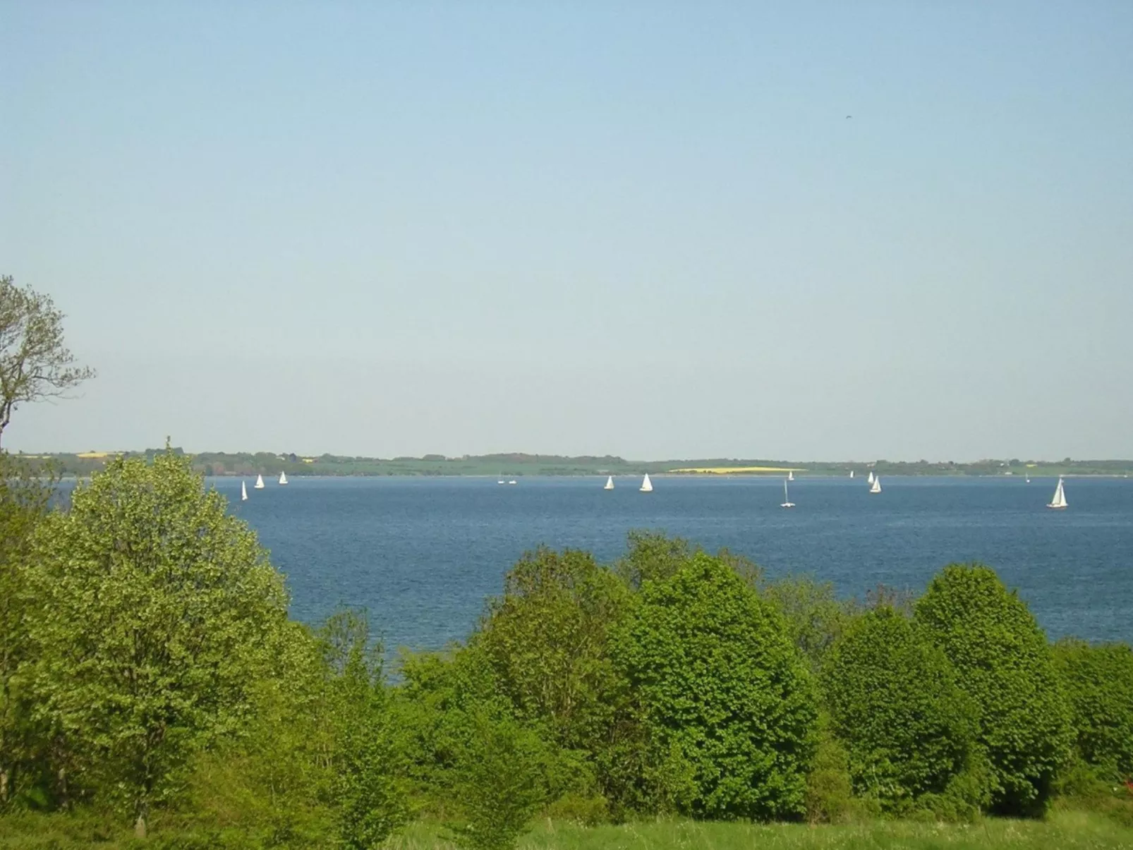 Ambiente-Image-tags.info