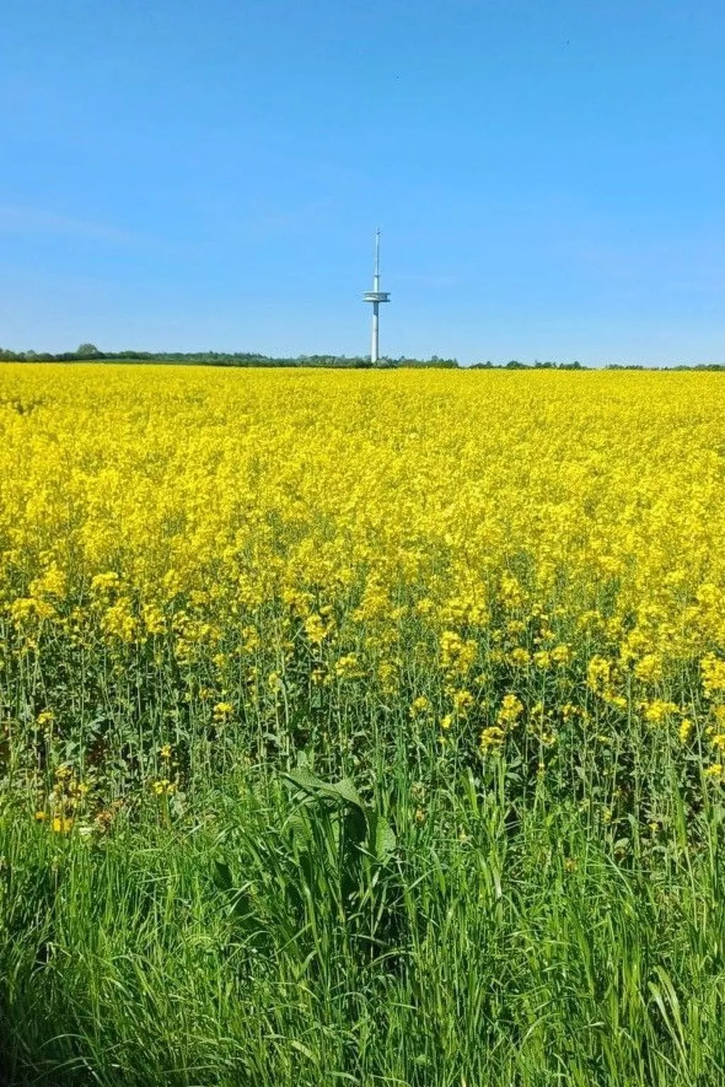 Möllis Ferienwohnung-Buiten