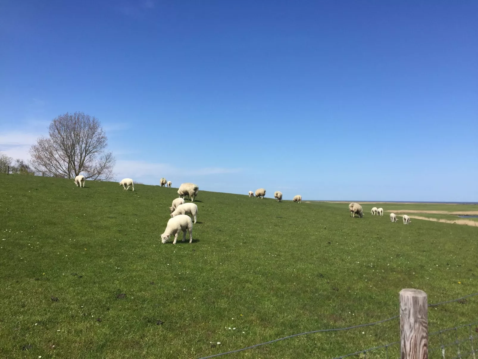 Nettes Ferienhaus in Fedderwardersiel-Buiten