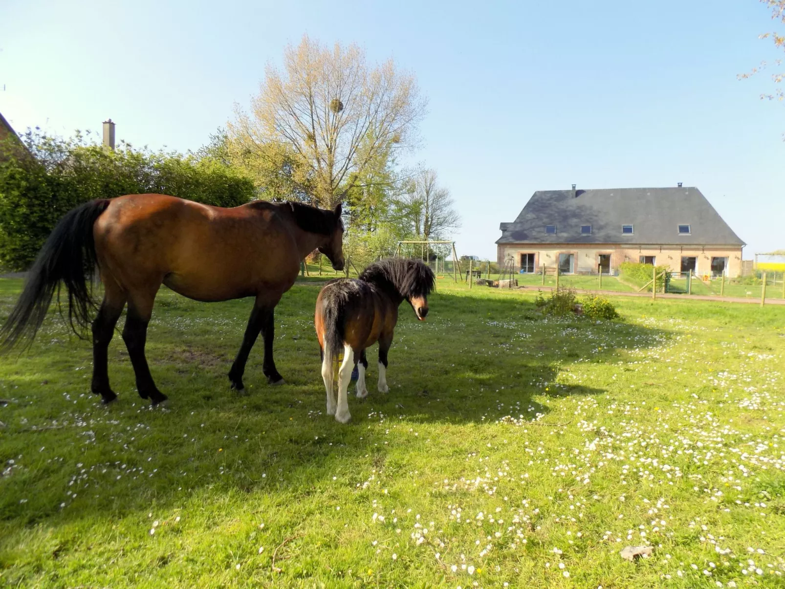 Für 8 Personen-Buiten