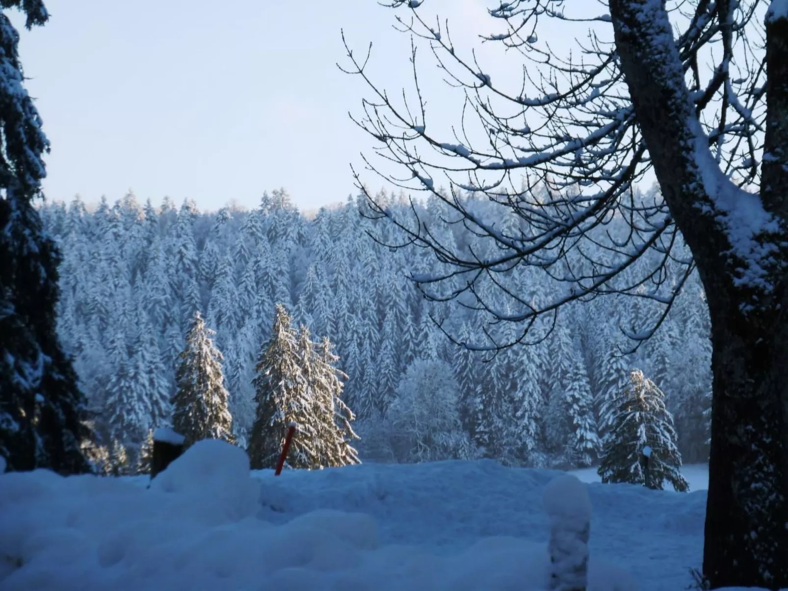 Chalet Désir, Lajoux