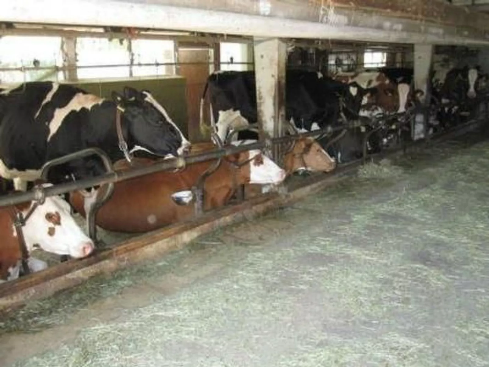 Farbhaus Bleiche-Image-tags.info