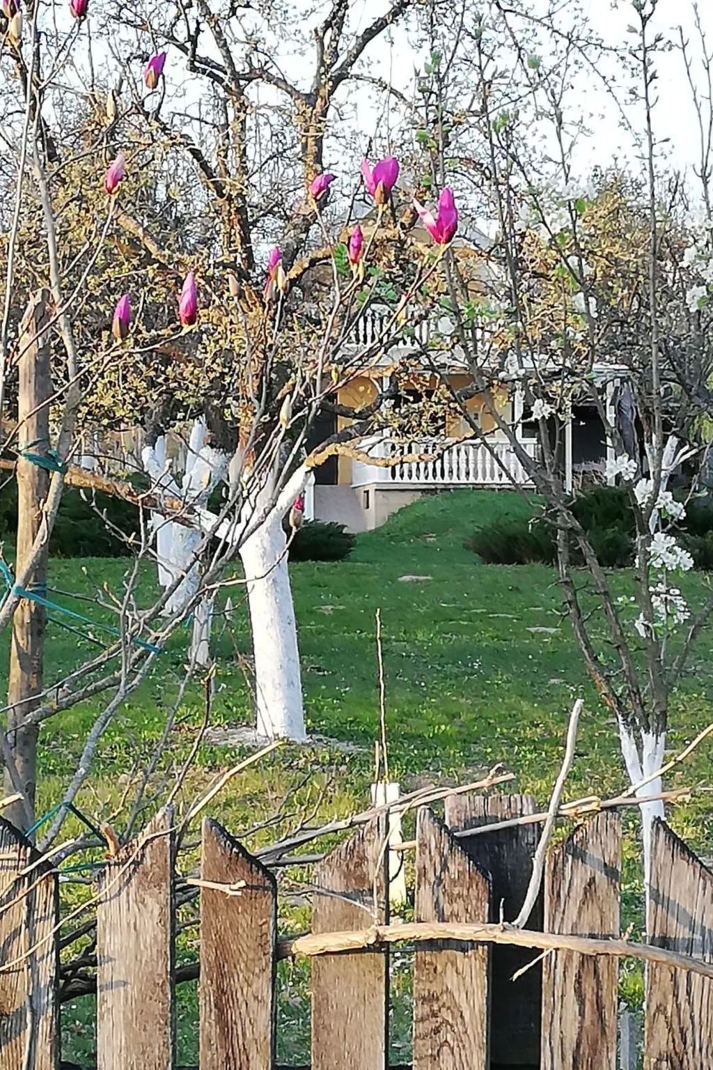 Hütte mit Garten, Grill und Terrasse-Buiten