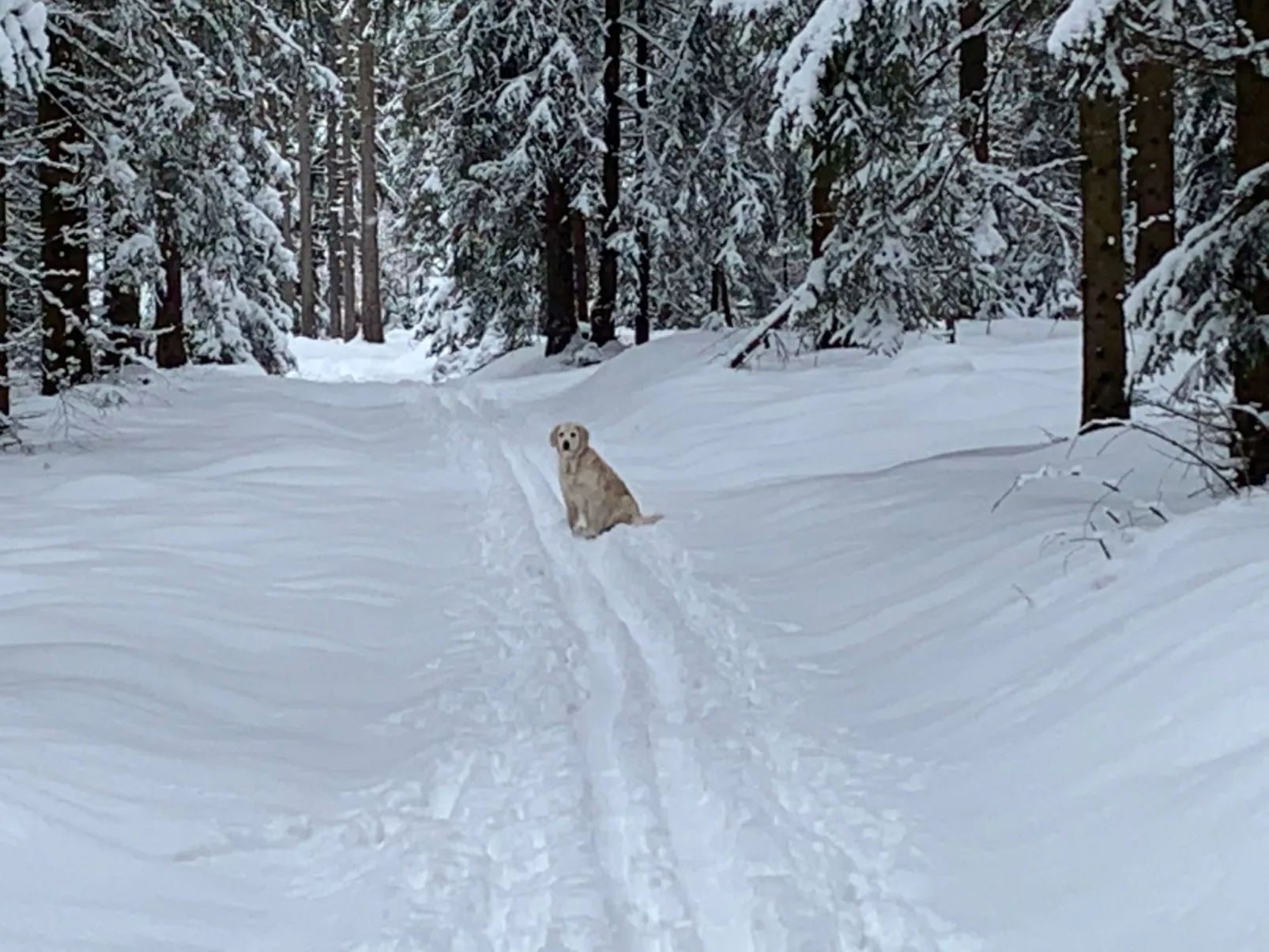 In Erlbach mit Grill und Terrasse-Image-tags.info