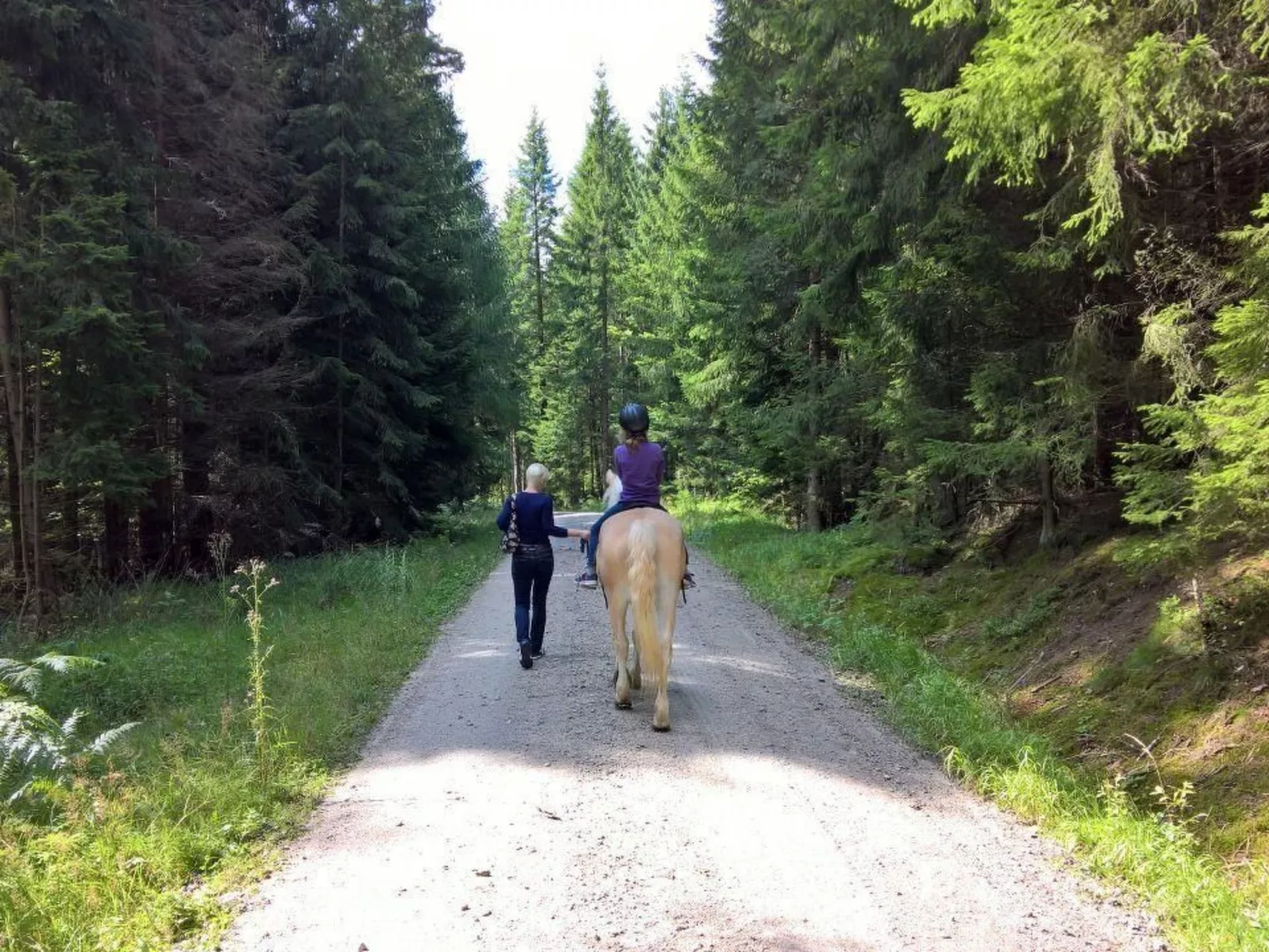Appartement in Vordorfermühle mit Garten