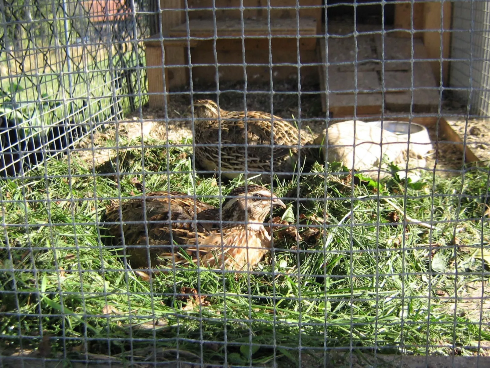 Urlaub in der Natur!