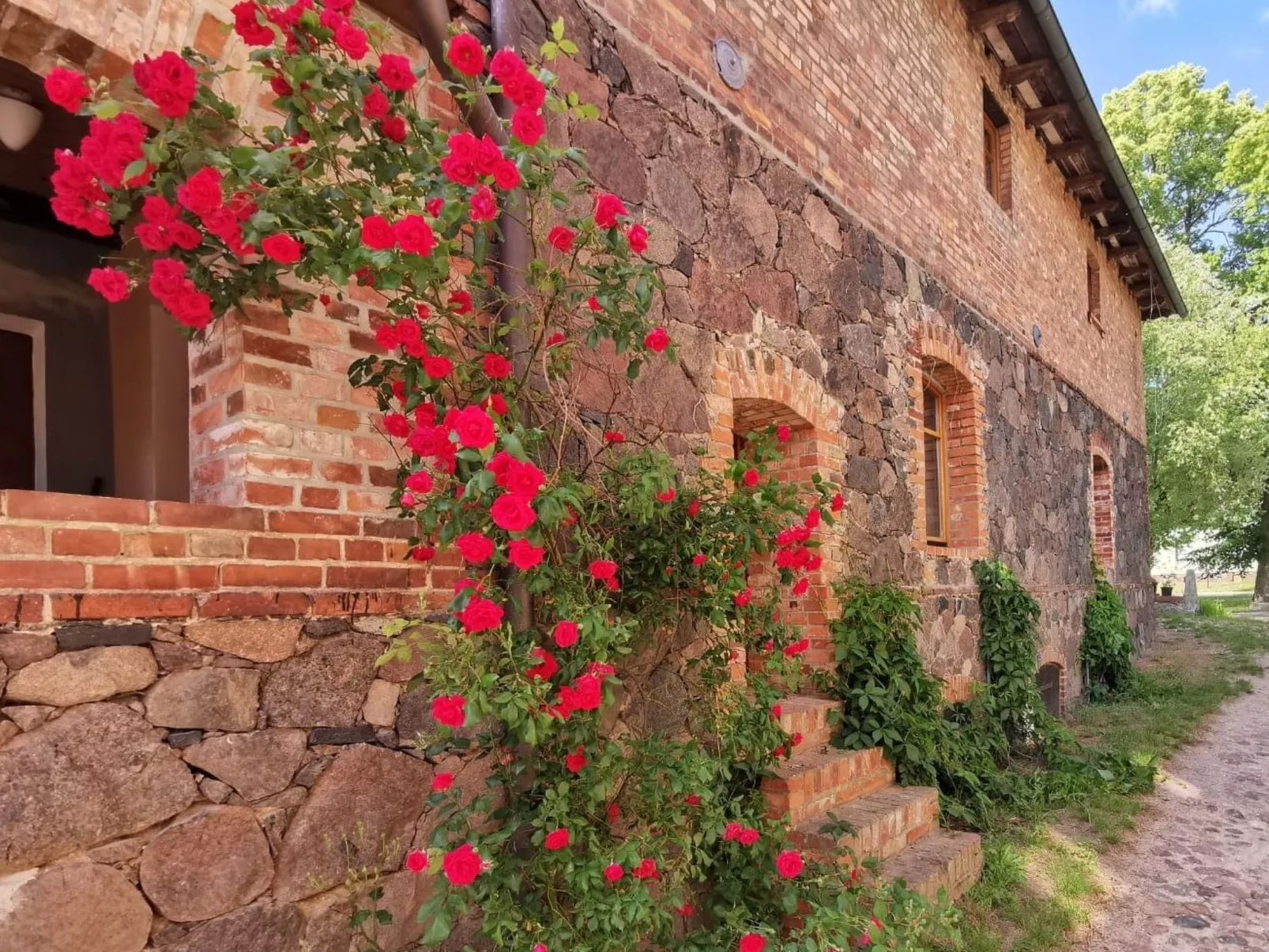 Wohnung in Haselberg mit Großem Garten-Image-tags.info