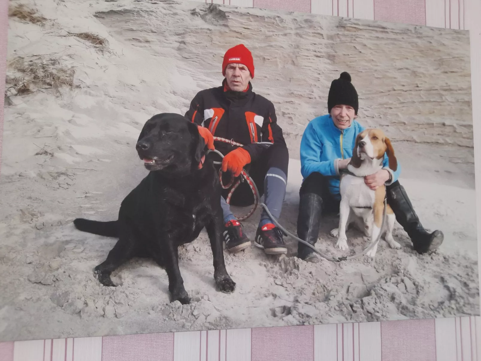 Harzhaus Schröder-Buiten