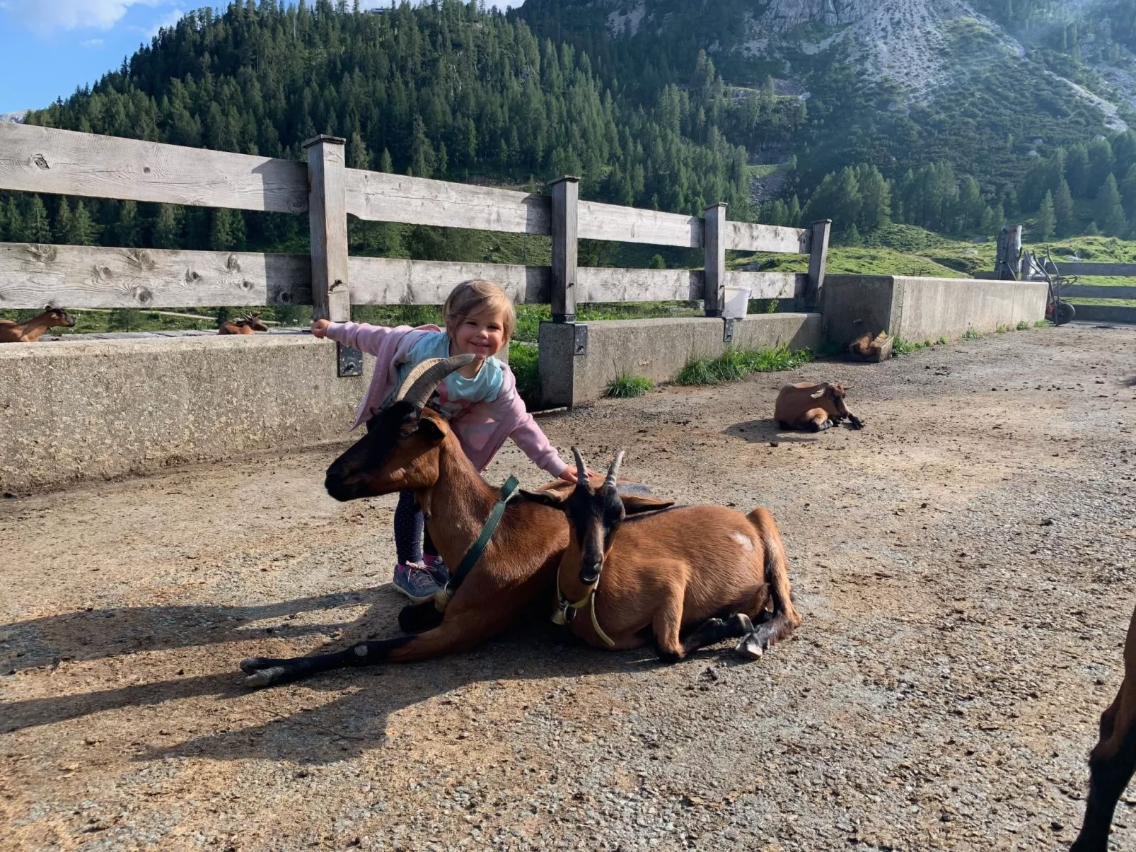 In Gemeinde Hermagor-Pressegger See mit Terrasse, Grill und Garten-Image-tags.info