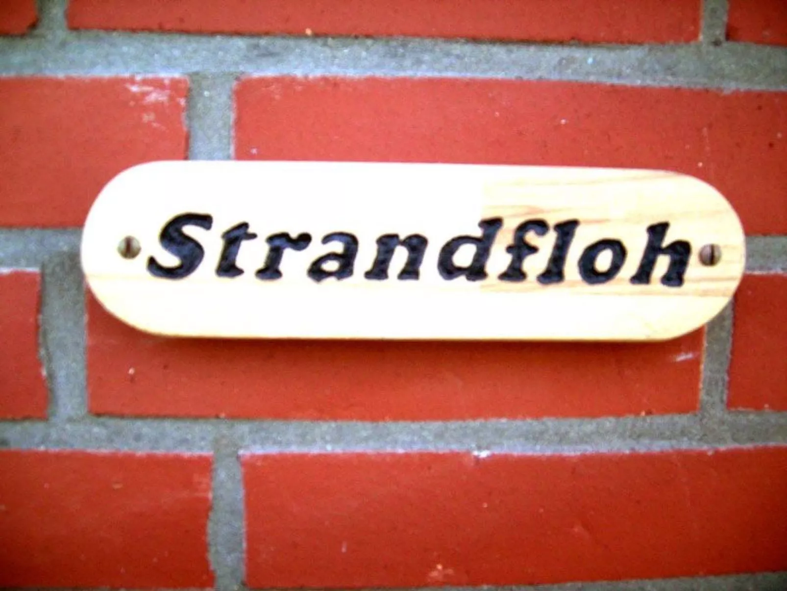 Strandfloh in Hörnum