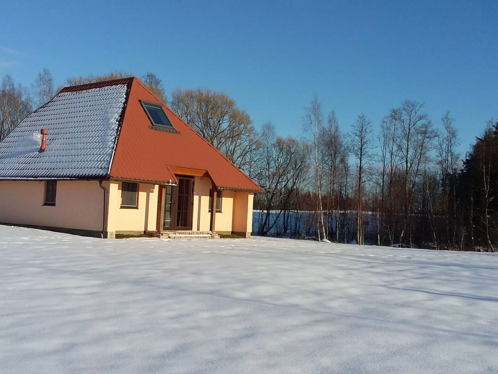 Fuchsbau in Waldnähe-Buiten