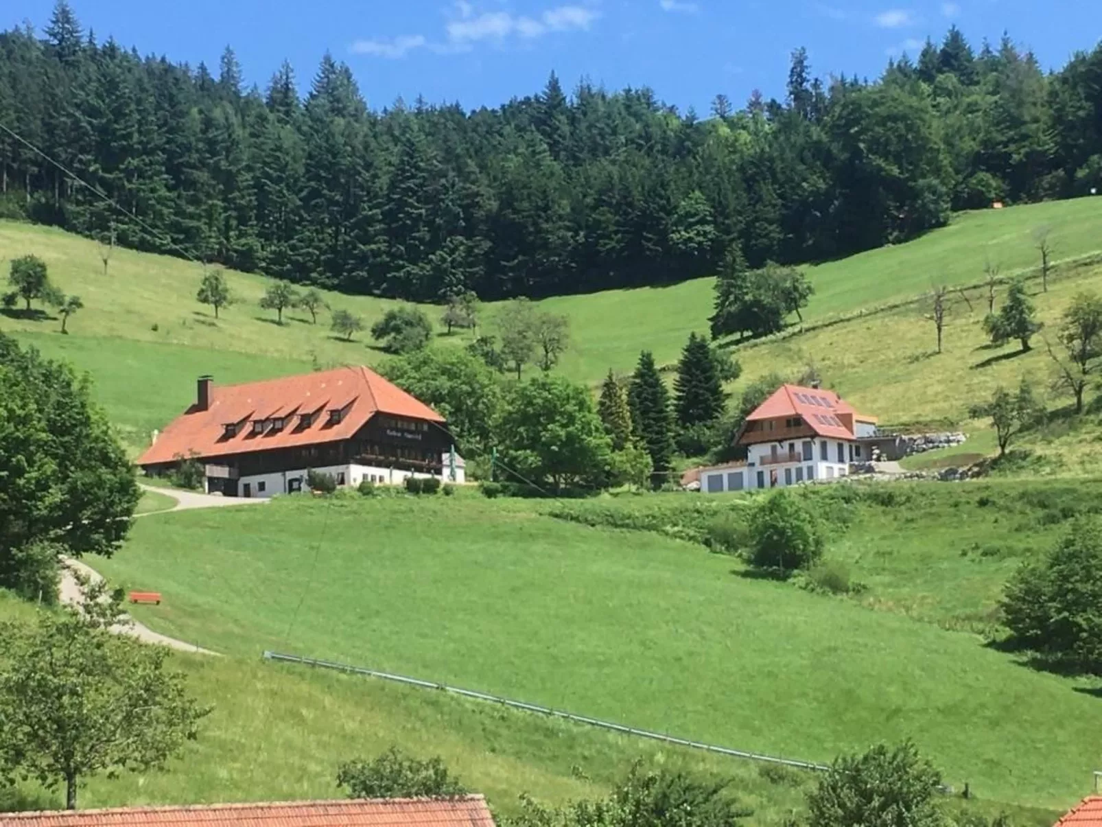 Haus mit Whirlpool, Sauna und Schwarzwaldblick