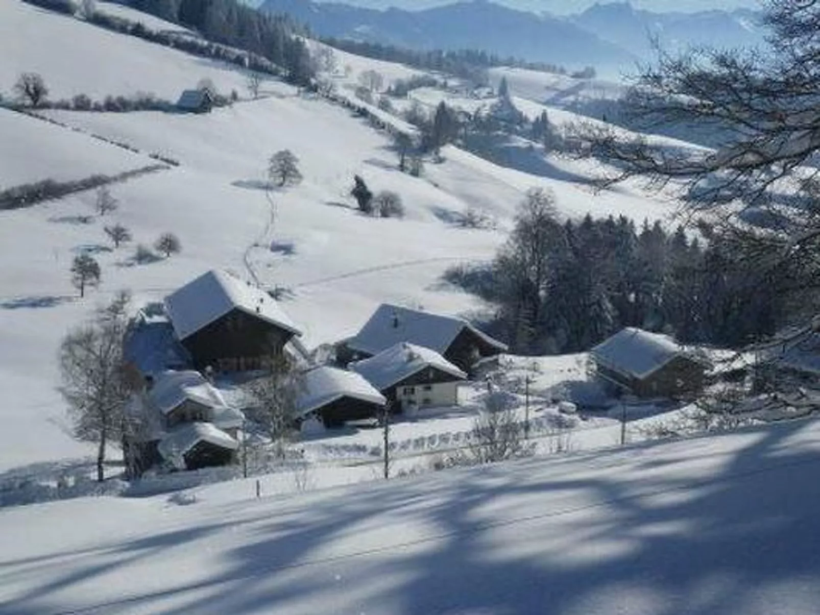 Ferienwohnung, Ferienhof Wald