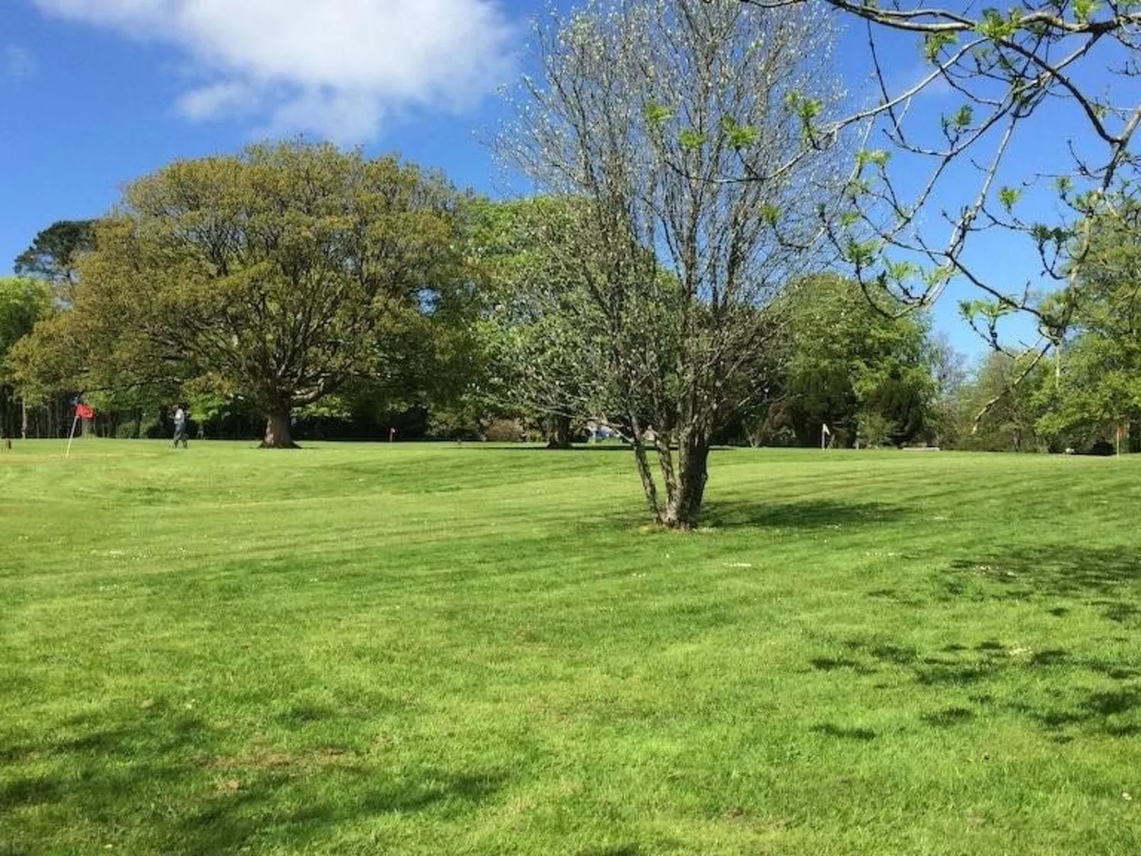 Schönes Haus in Saint Tudy mit privatem Parkplatz-Buiten