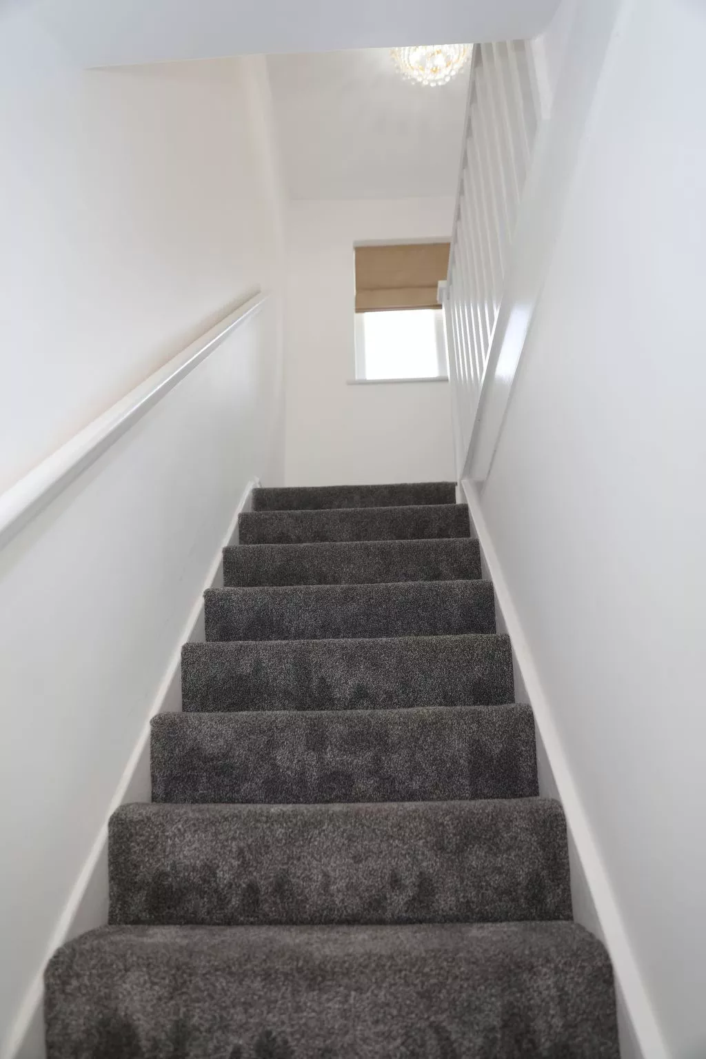 Wien Orpington-Buiten