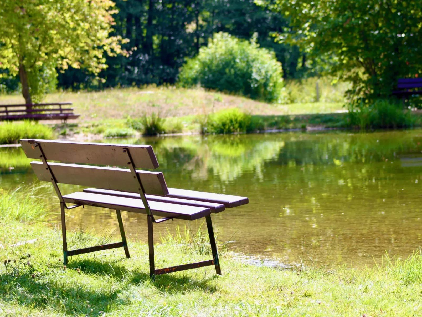 Bungalow mit Garten, Grill und Terrasse-Buiten