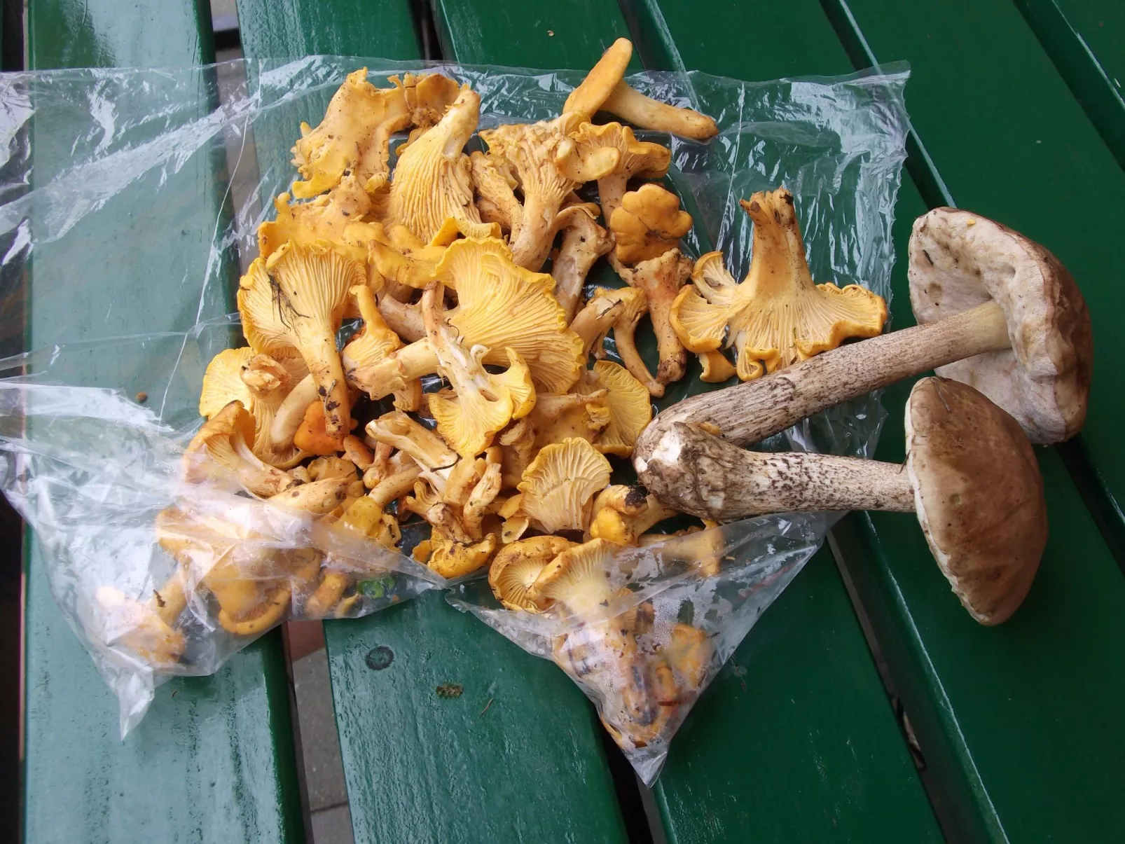 Wohnung Rozika-Image-tags.info