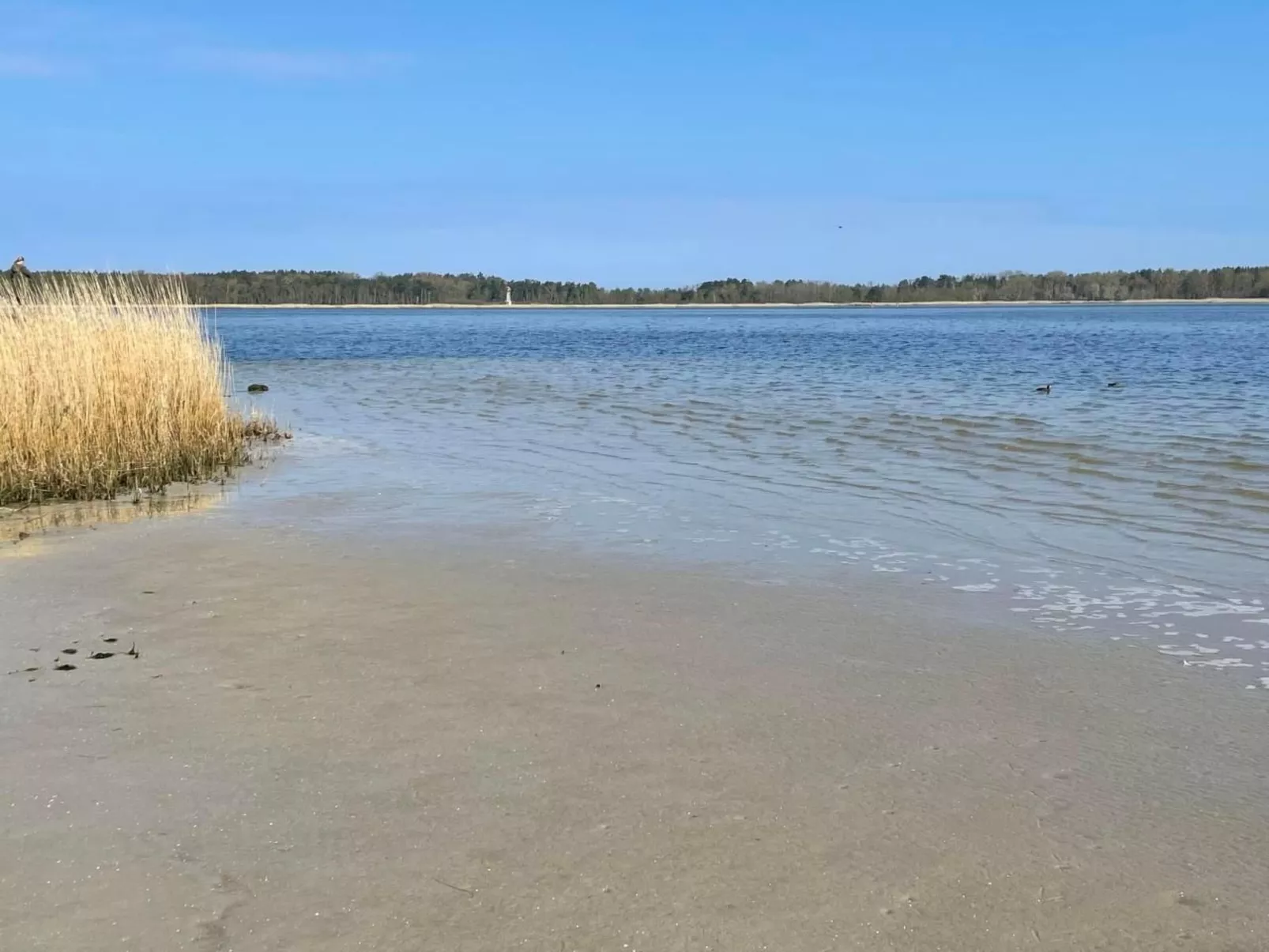 Weisses Traumschloss an der Ostsee