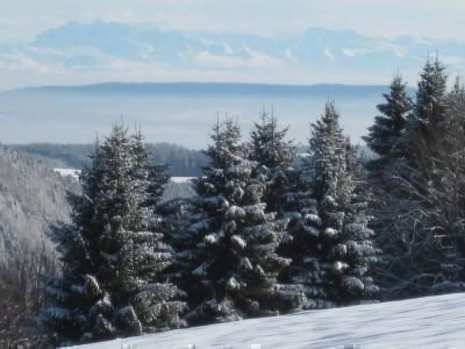 Wohnung "Fübüüni"