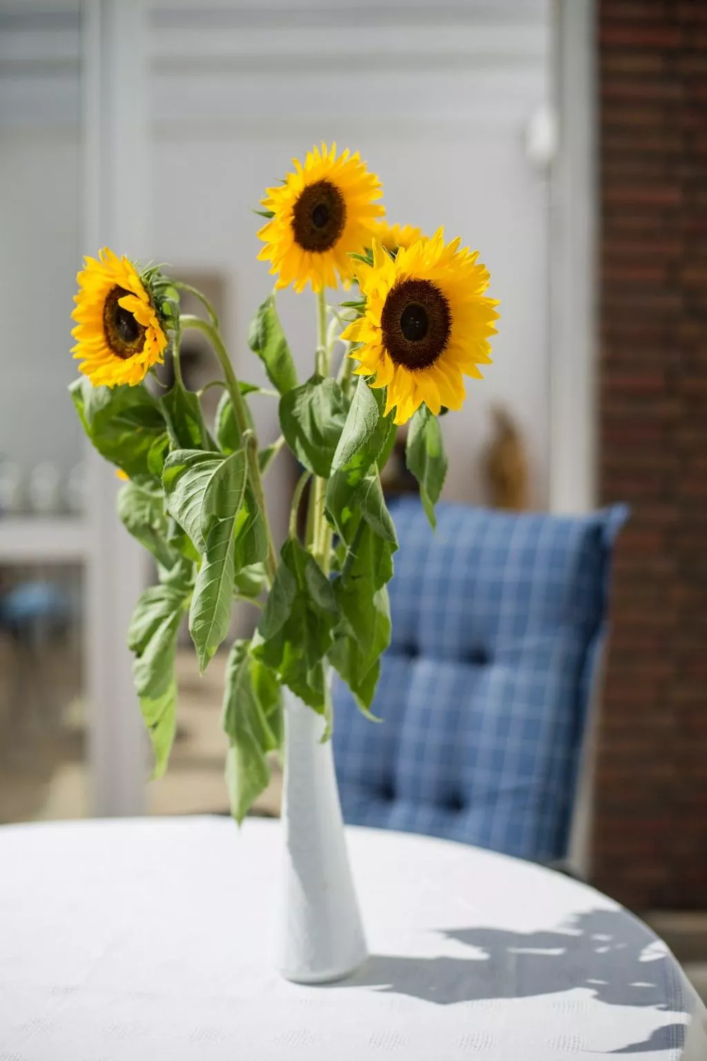 Gemütliches Ferienhaus in Hasenfeld mit Großem Garten