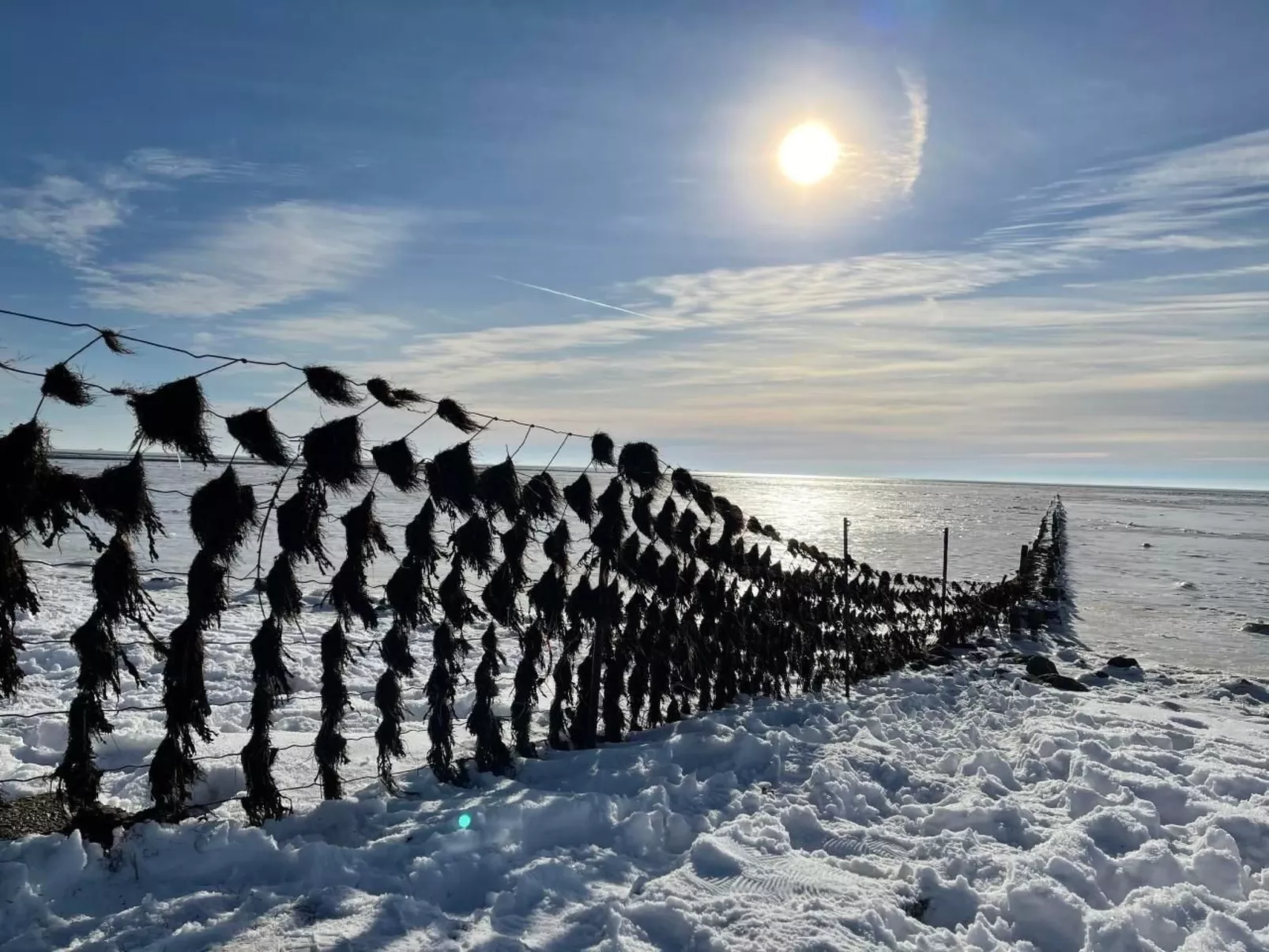Ruhige Wohnung in Risum mit Garten und Terrasse-Image-tags.info