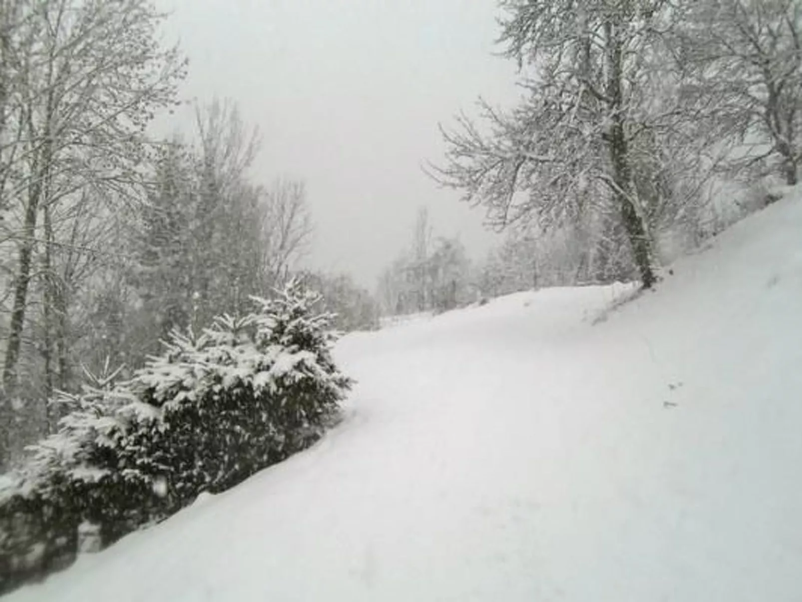 Flössersteighütte-Image-tags.info