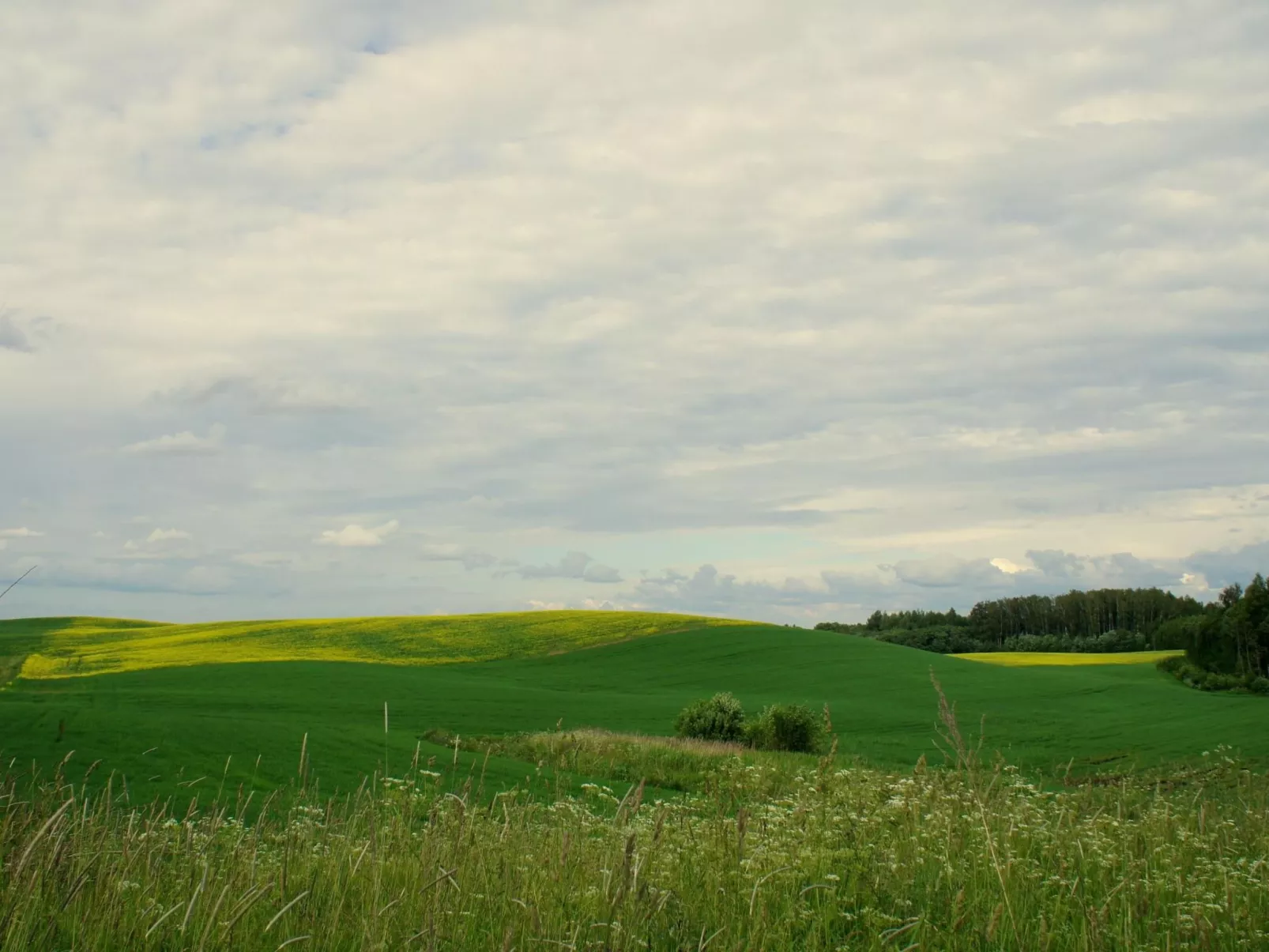 Landgut "Baltin Krogs" mit eigenem Garten-Image-tags.info