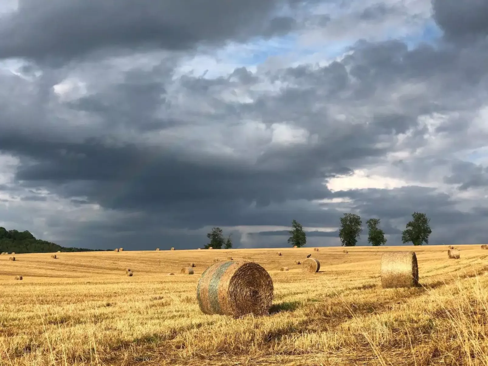 Landhaus mit eingezäuntem Garten