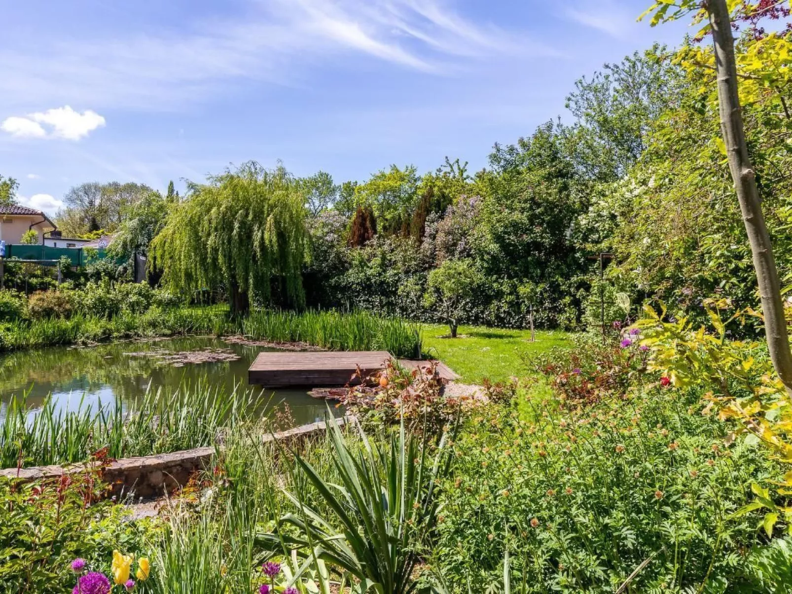 Teichblick in Klütz-Buiten