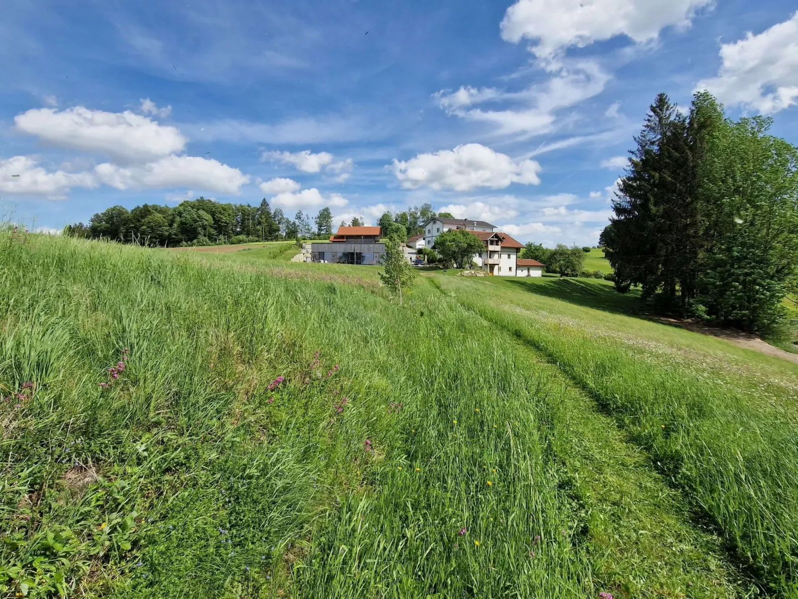 Hoizhaus am Badlberg-Buiten
