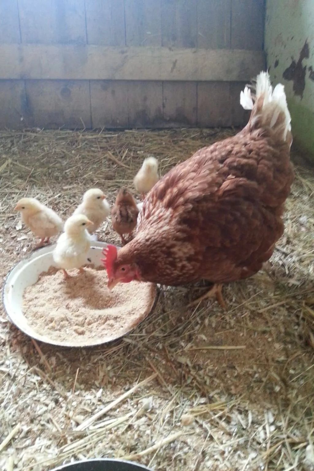 Herzfennerhof Loft-Image-tags.info