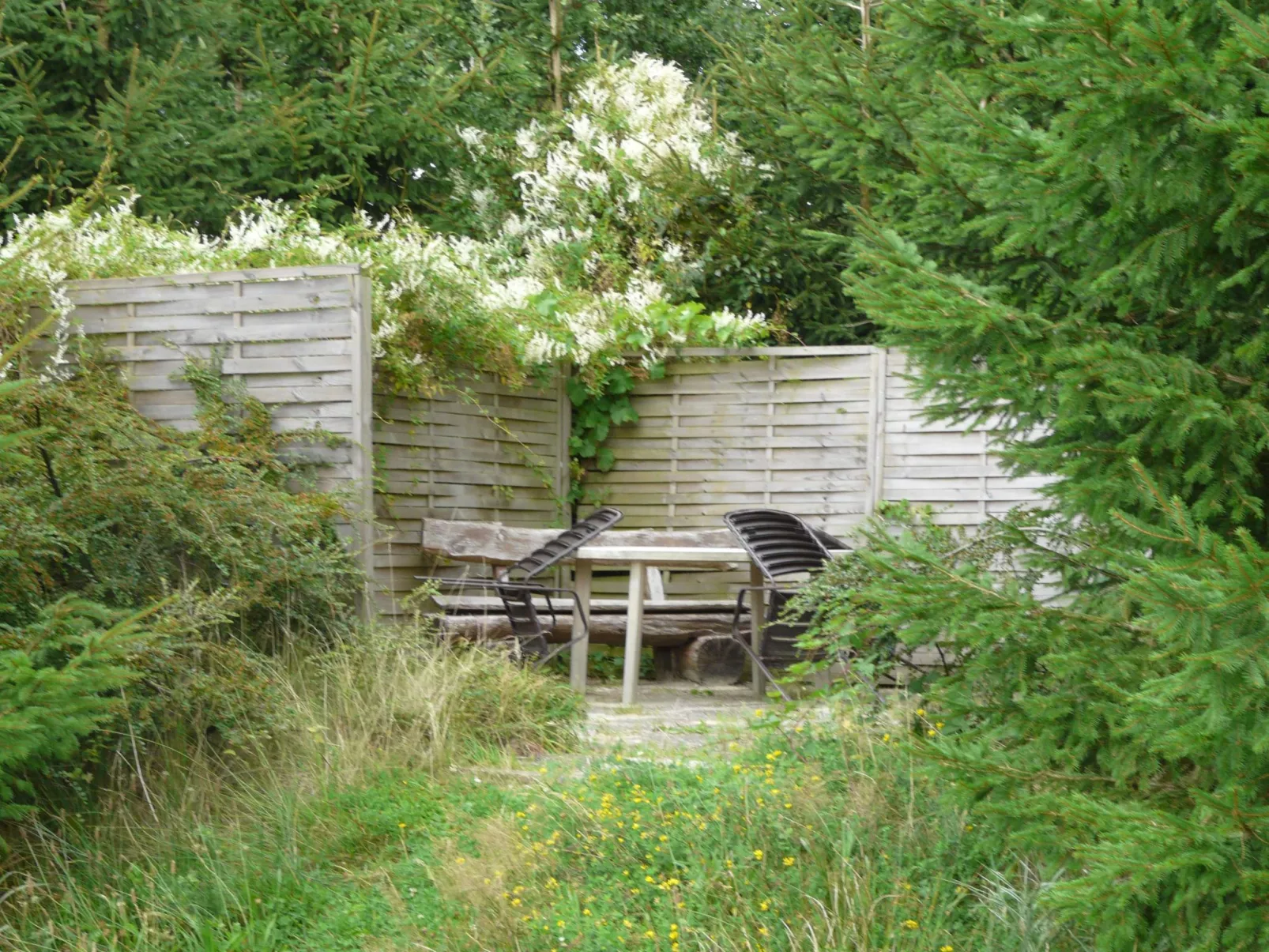 Für 16 Personen mit Terrasse-Buiten