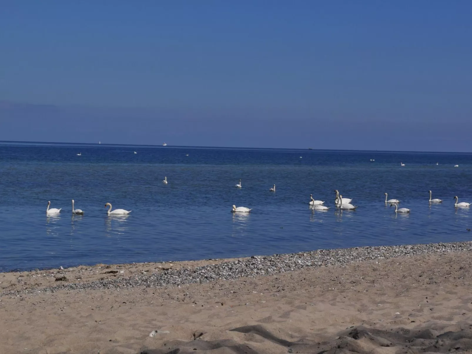 Entspannen auf der Südterrasse-Buiten