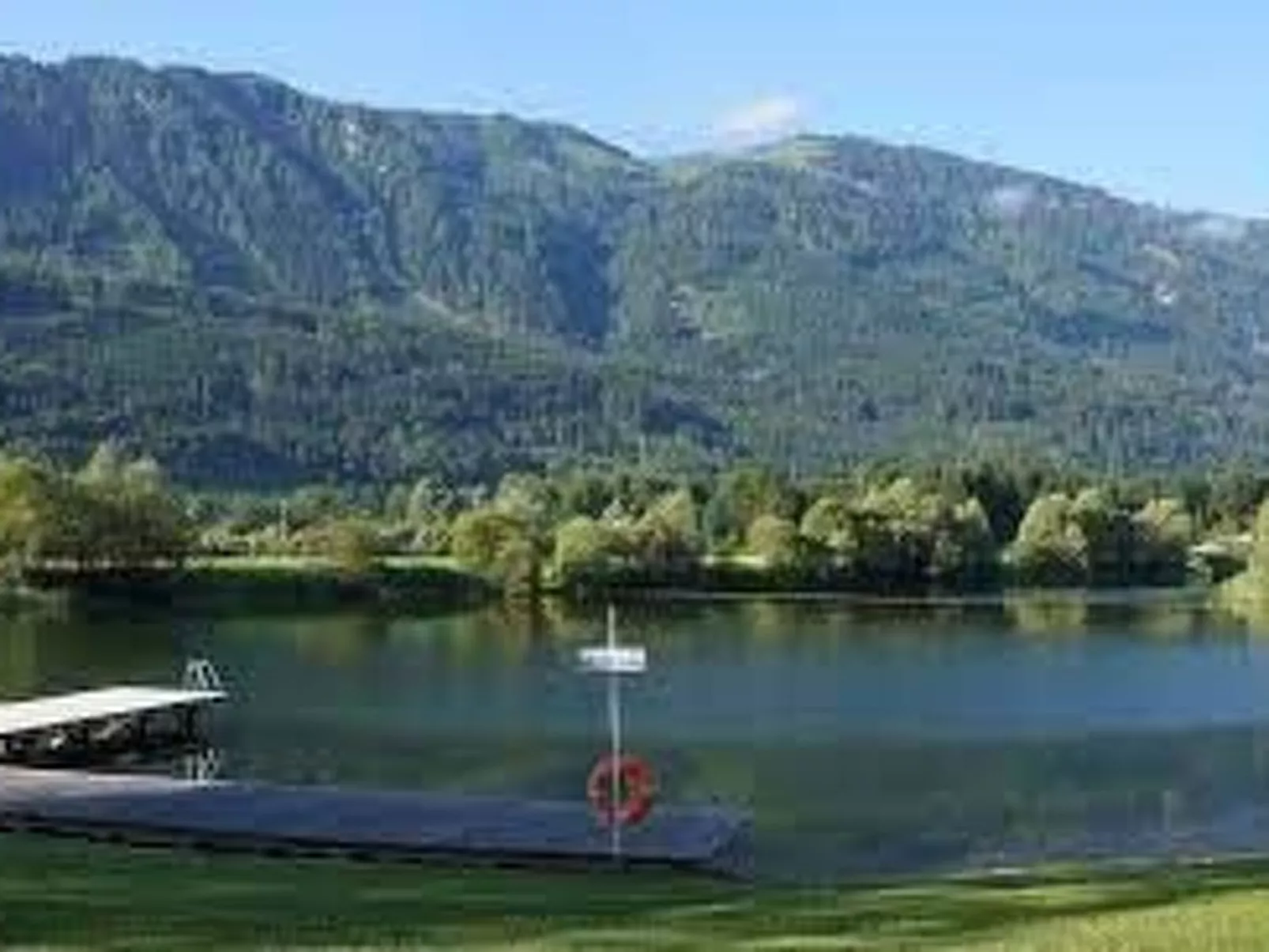 Waldpension in Steinfeld