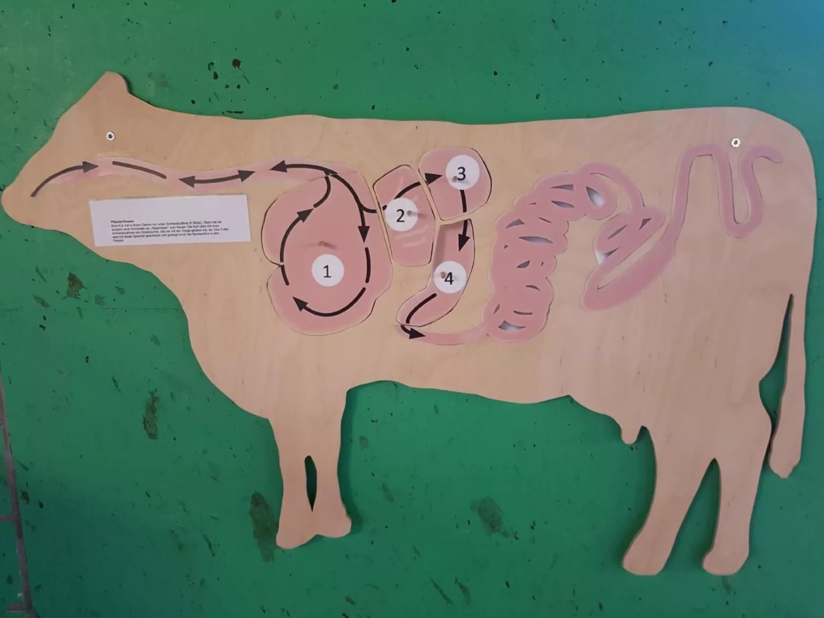 Ferien im Gugger - Wohnung Stockberg